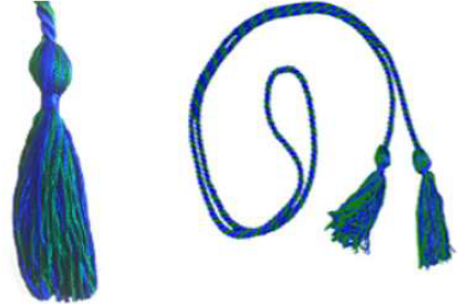 Picture of IMA Member Graduation Honor Cords